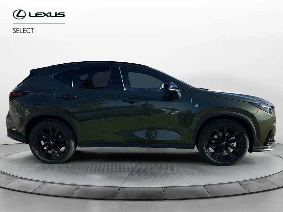 Lexus NX usata a Bergamo (7)