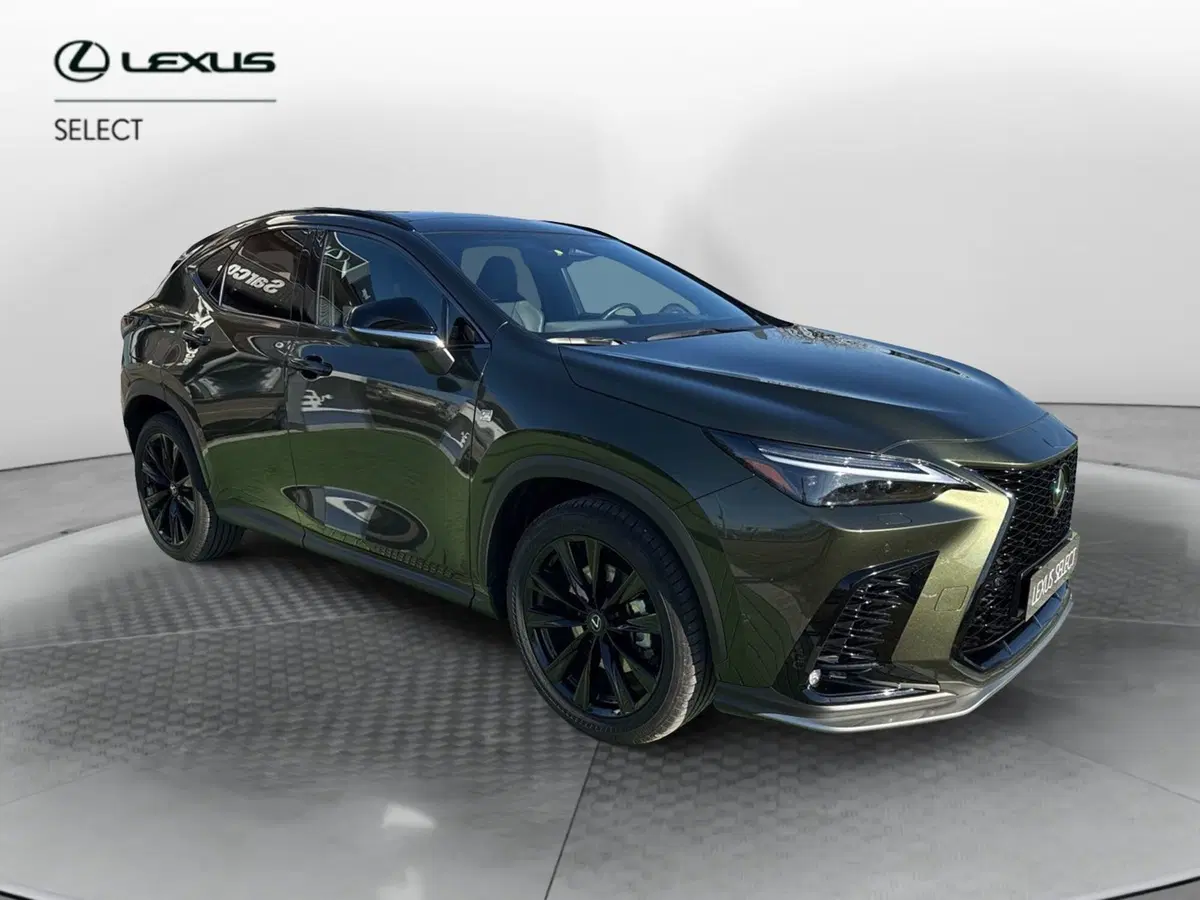 Lexus NX usata a Bergamo (8)