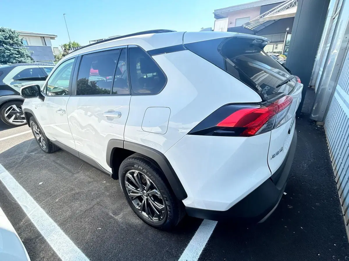 Toyota Rav4 usata a Bergamo (14)