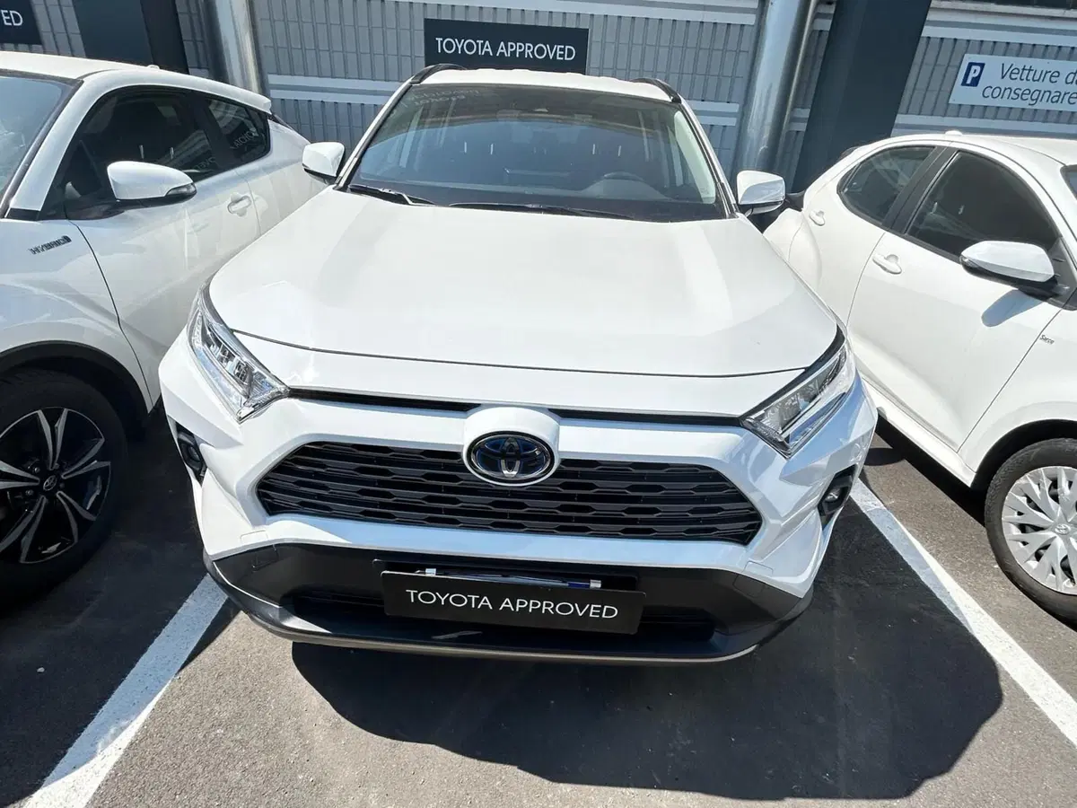 Toyota Rav4 usata a Bergamo (4)