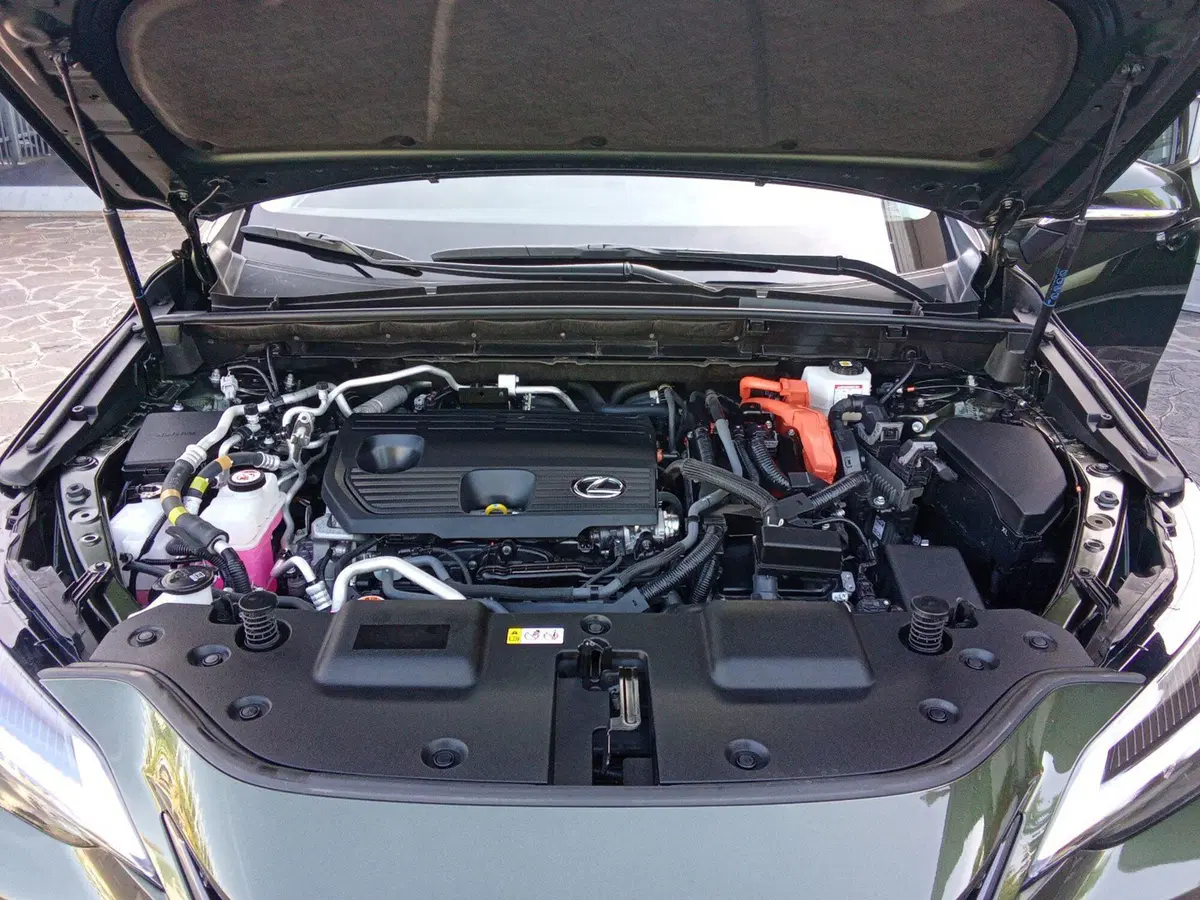 Lexus NX usata a Bergamo (12)