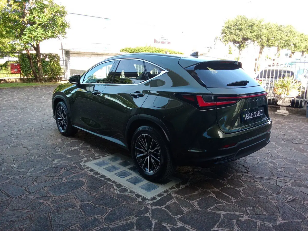 Lexus NX usata a Bergamo (3)