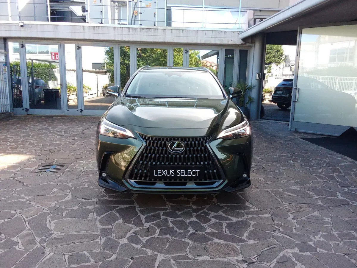 Lexus NX usata a Bergamo (4)