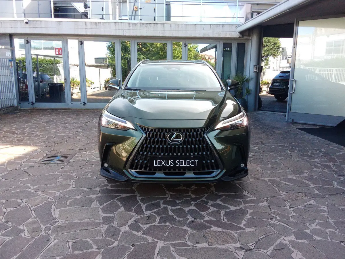 Lexus NX usata a Bergamo (5)