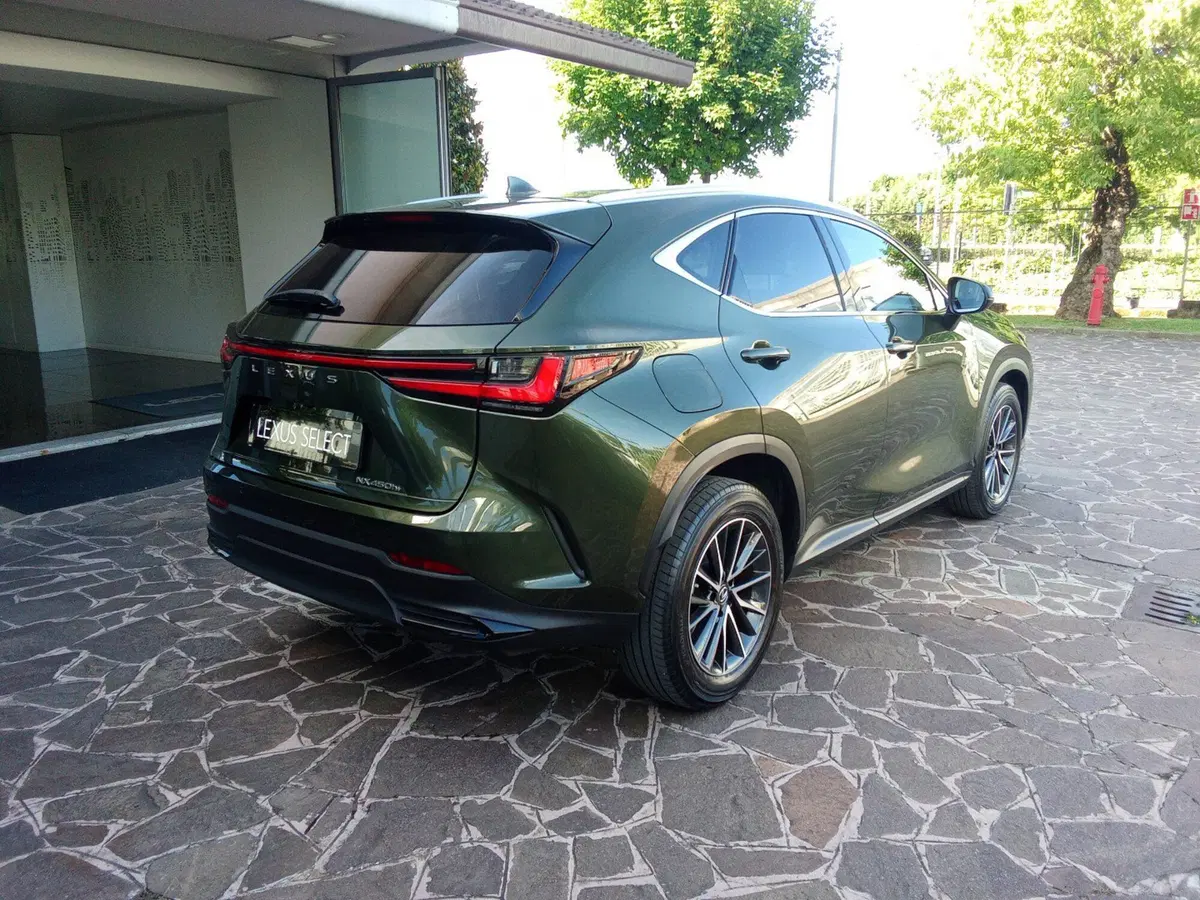 Lexus NX usata a Bergamo (6)