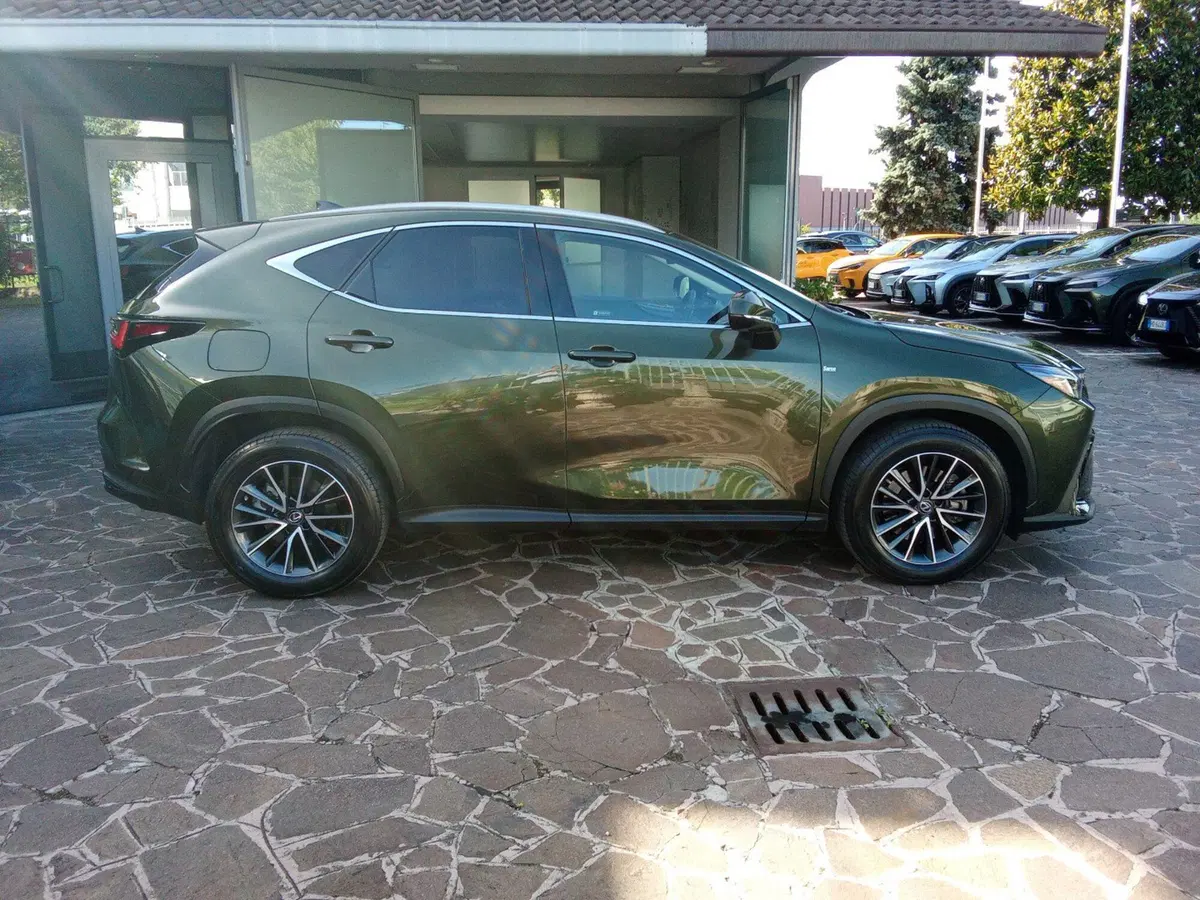 Lexus NX usata a Bergamo (7)