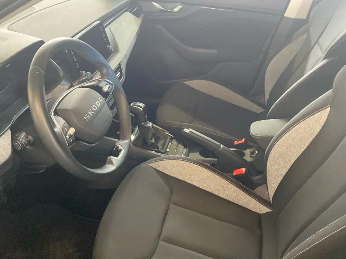 Skoda Kamiq usata a Reggio Calabria (17)