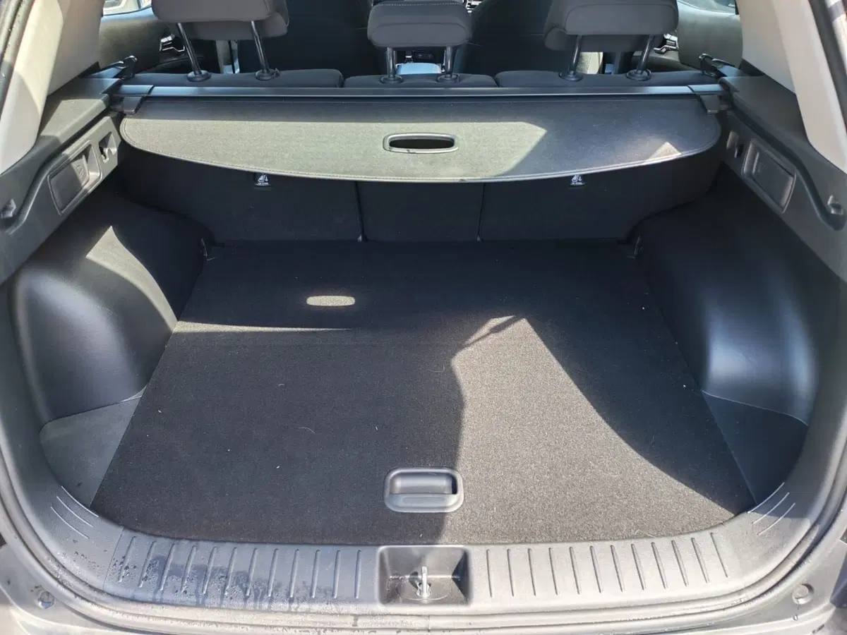 Kia Sportage usata a Rimini (12)