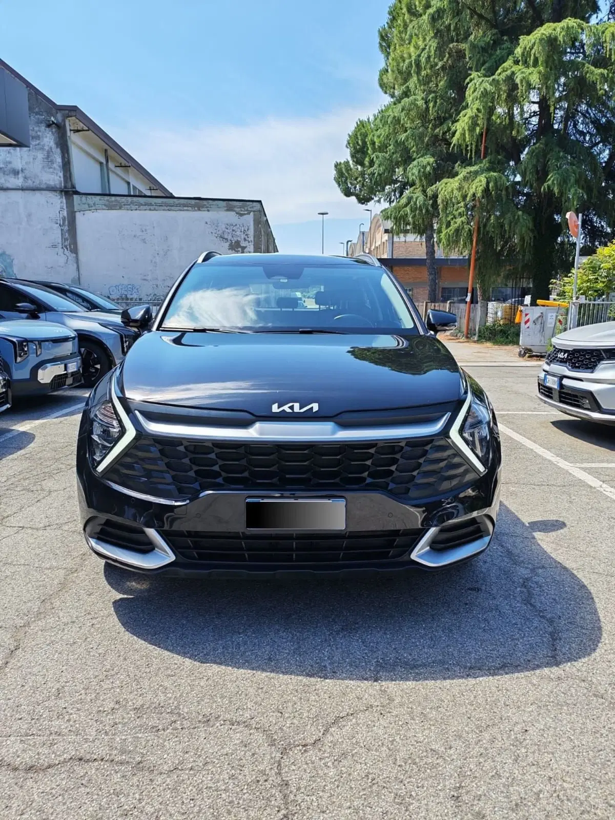 Kia Sportage usata a Rimini (3)