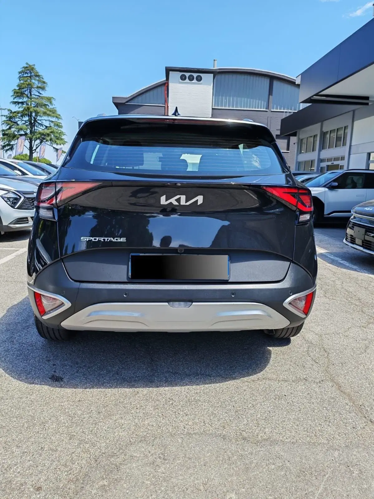 Kia Sportage usata a Rimini (4)
