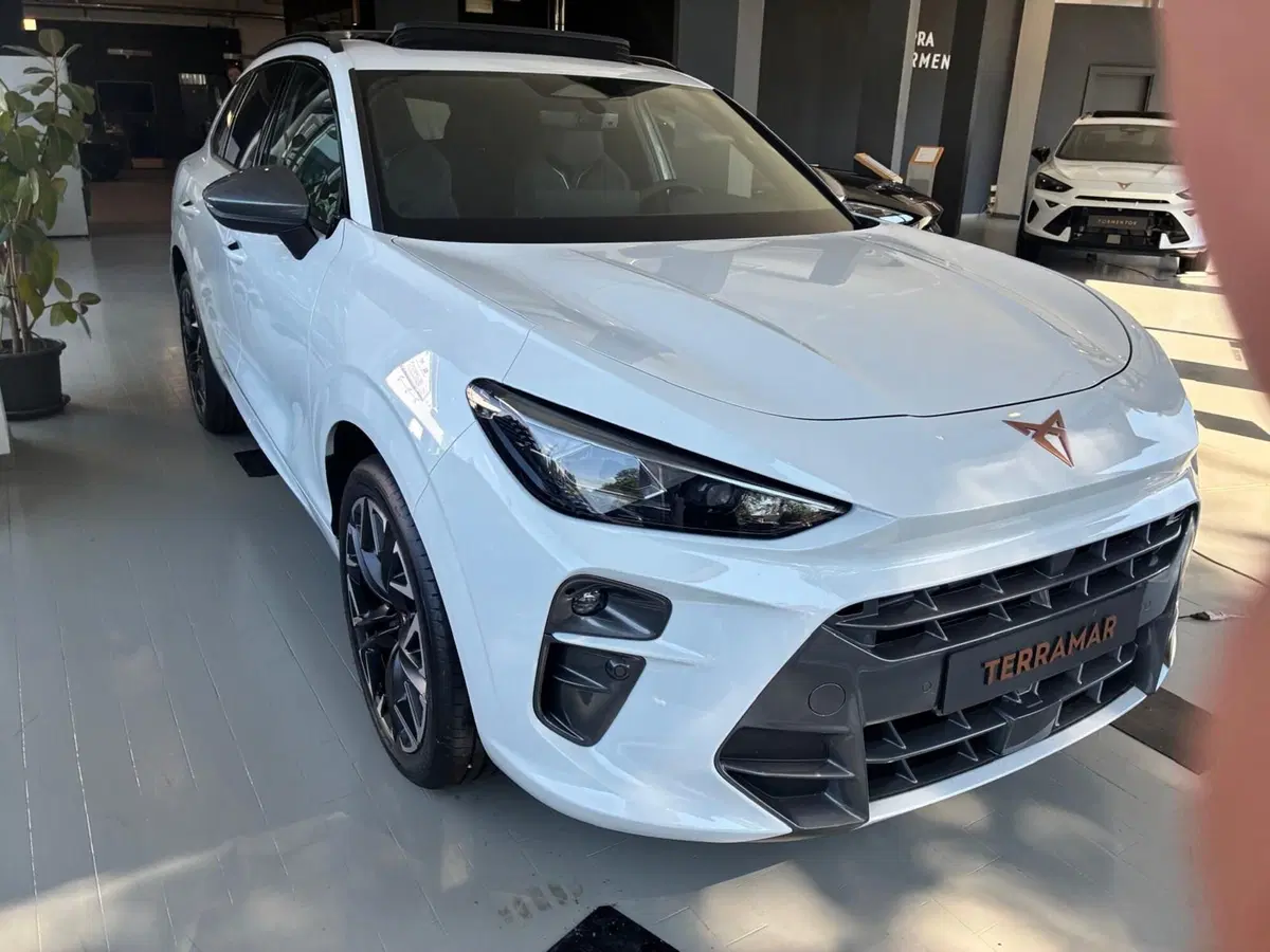Cupra Terramar nuova a Monza e Brianza (2)