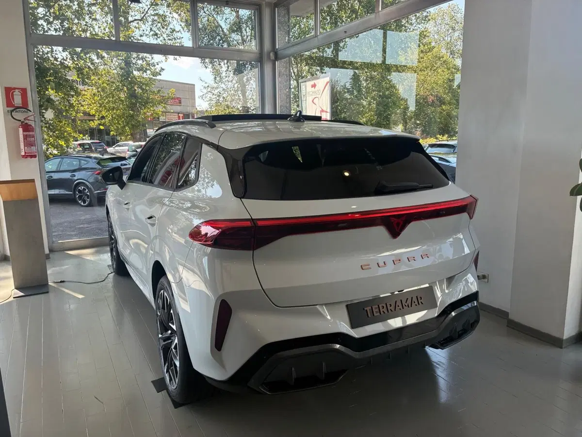 Cupra Terramar nuova a Monza e Brianza (6)