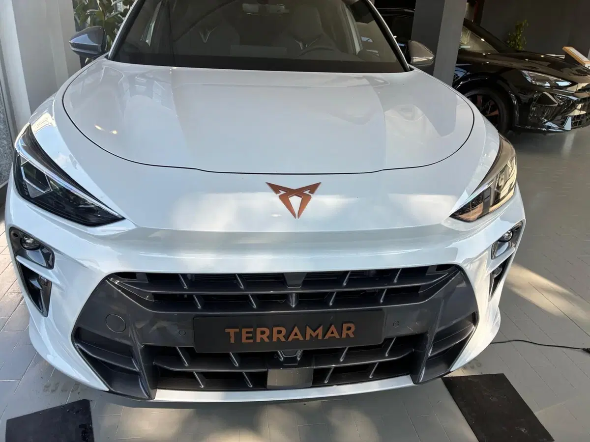 Cupra Terramar nuova a Monza e Brianza (7)