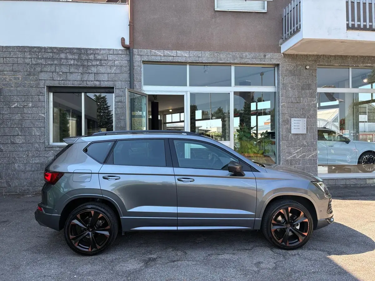 Cupra Ateca usata a Monza e Brianza (7)