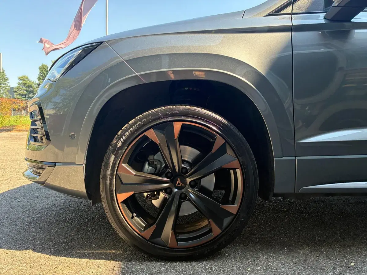 Cupra Ateca usata a Monza e Brianza (8)