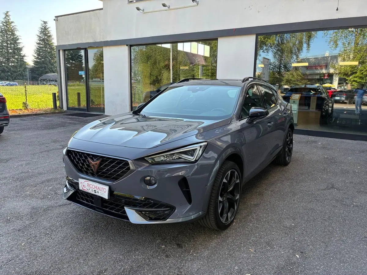 Cupra Formentor usata a Monza e Brianza (2)