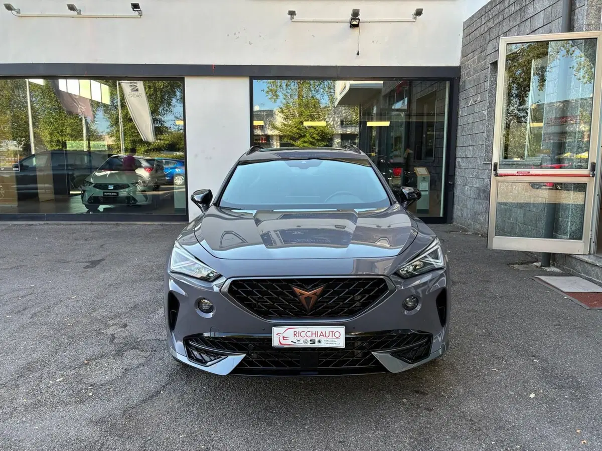 Cupra Formentor usata a Monza e Brianza (6)