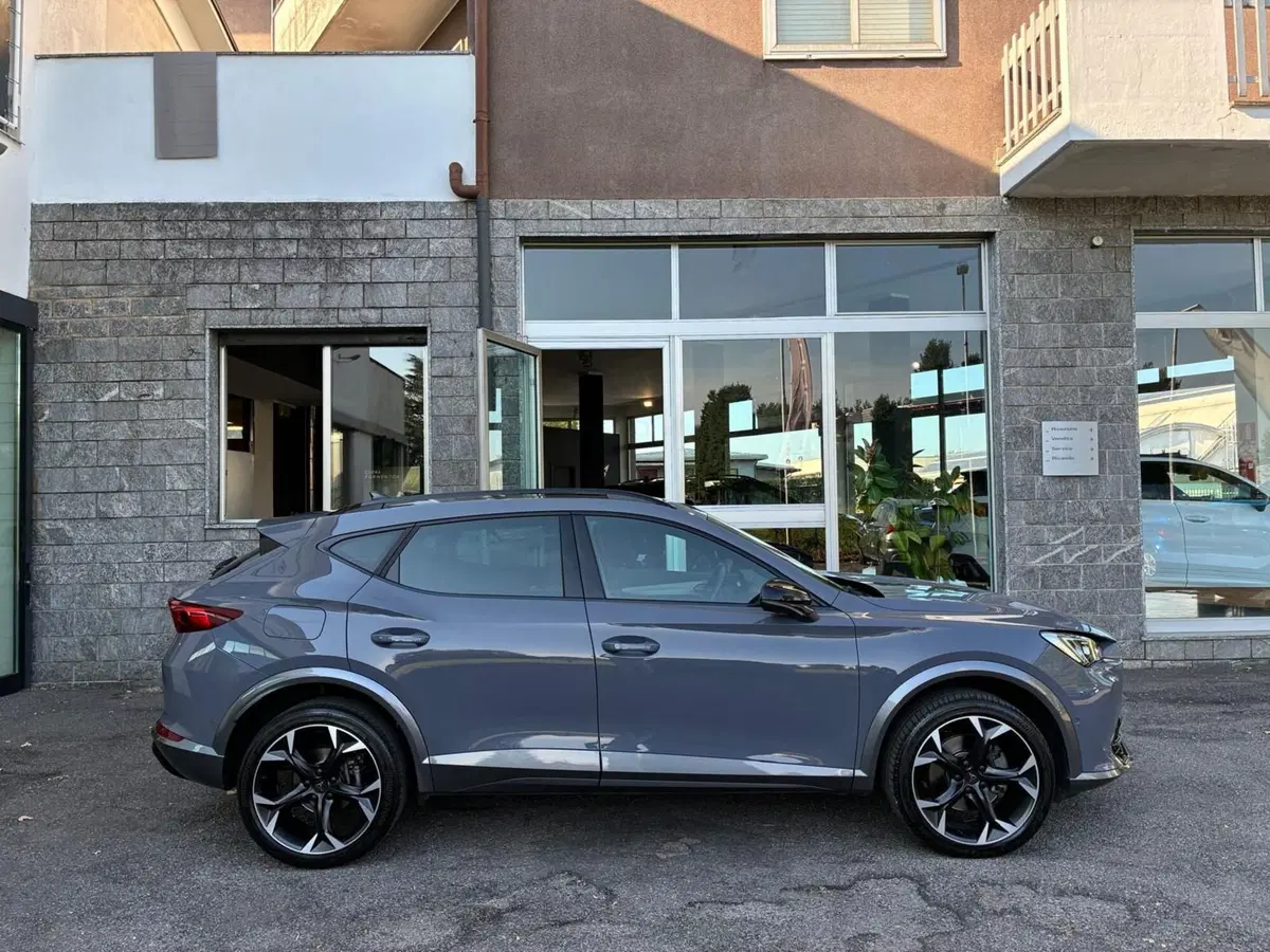Cupra Formentor usata a Monza e Brianza (7)
