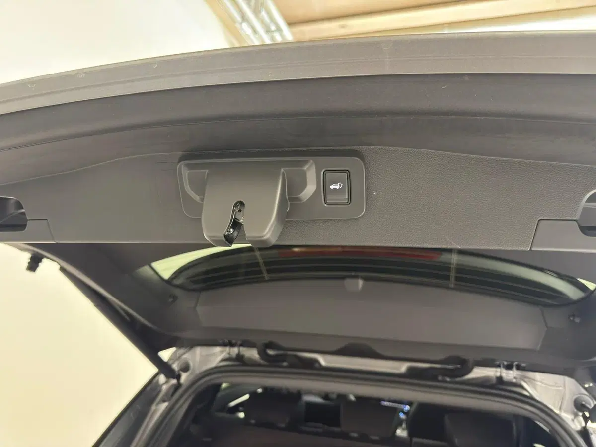 Renault Austral usata a Novara (16)