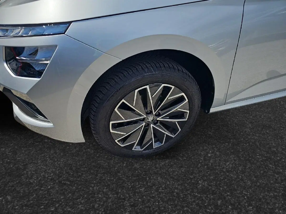 Skoda Kamiq usata a Lecco (18)