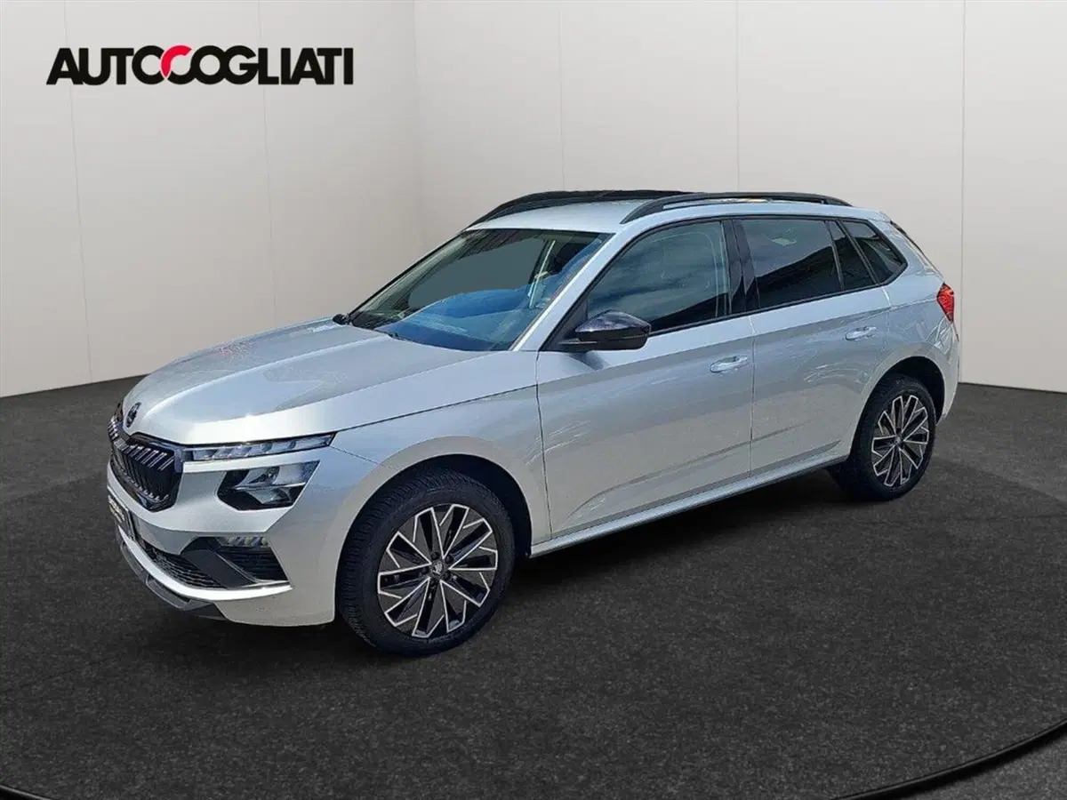 Skoda Kamiq usata a Lecco (7)