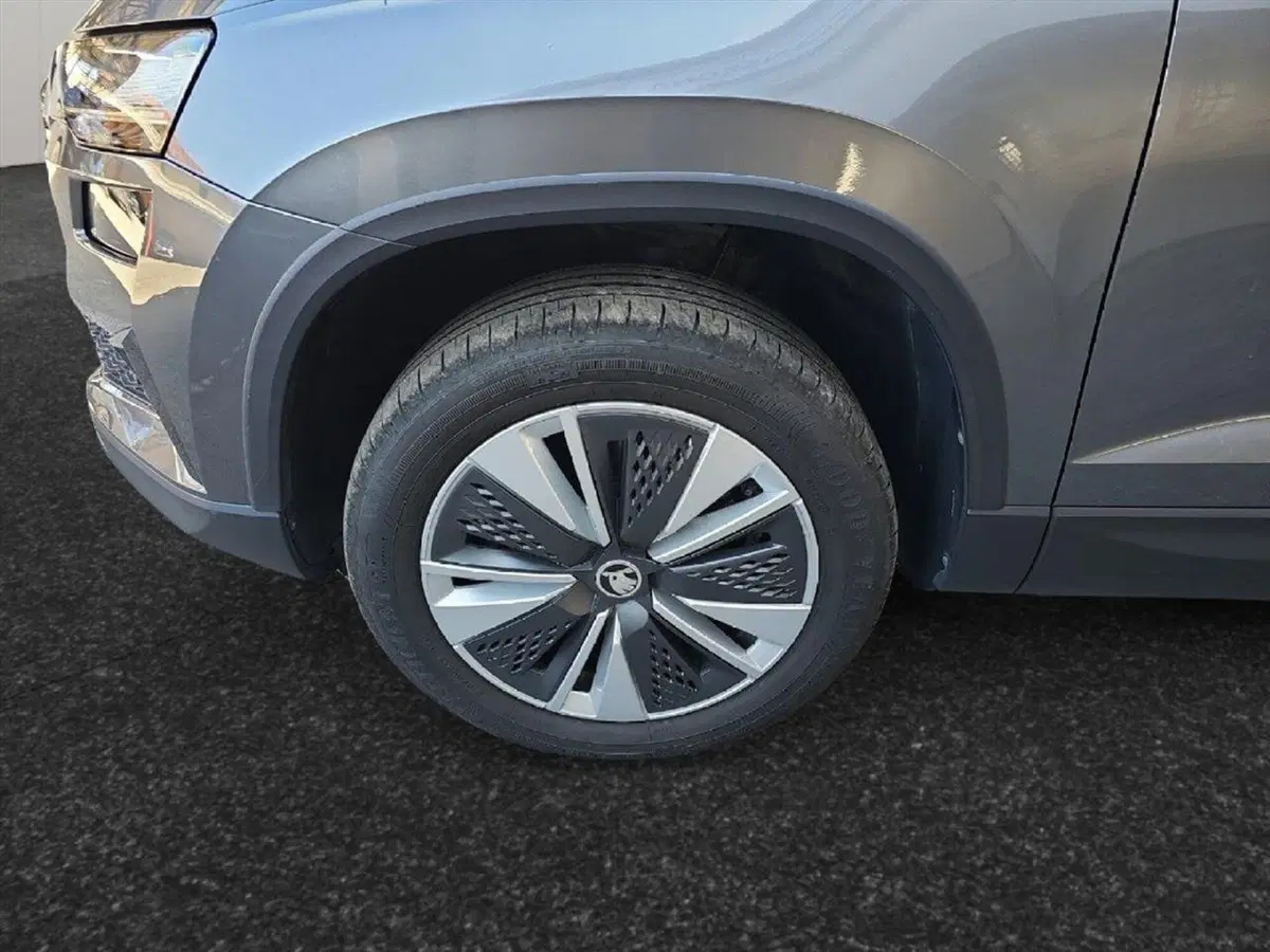 Skoda Karoq usata a Lecco (17)