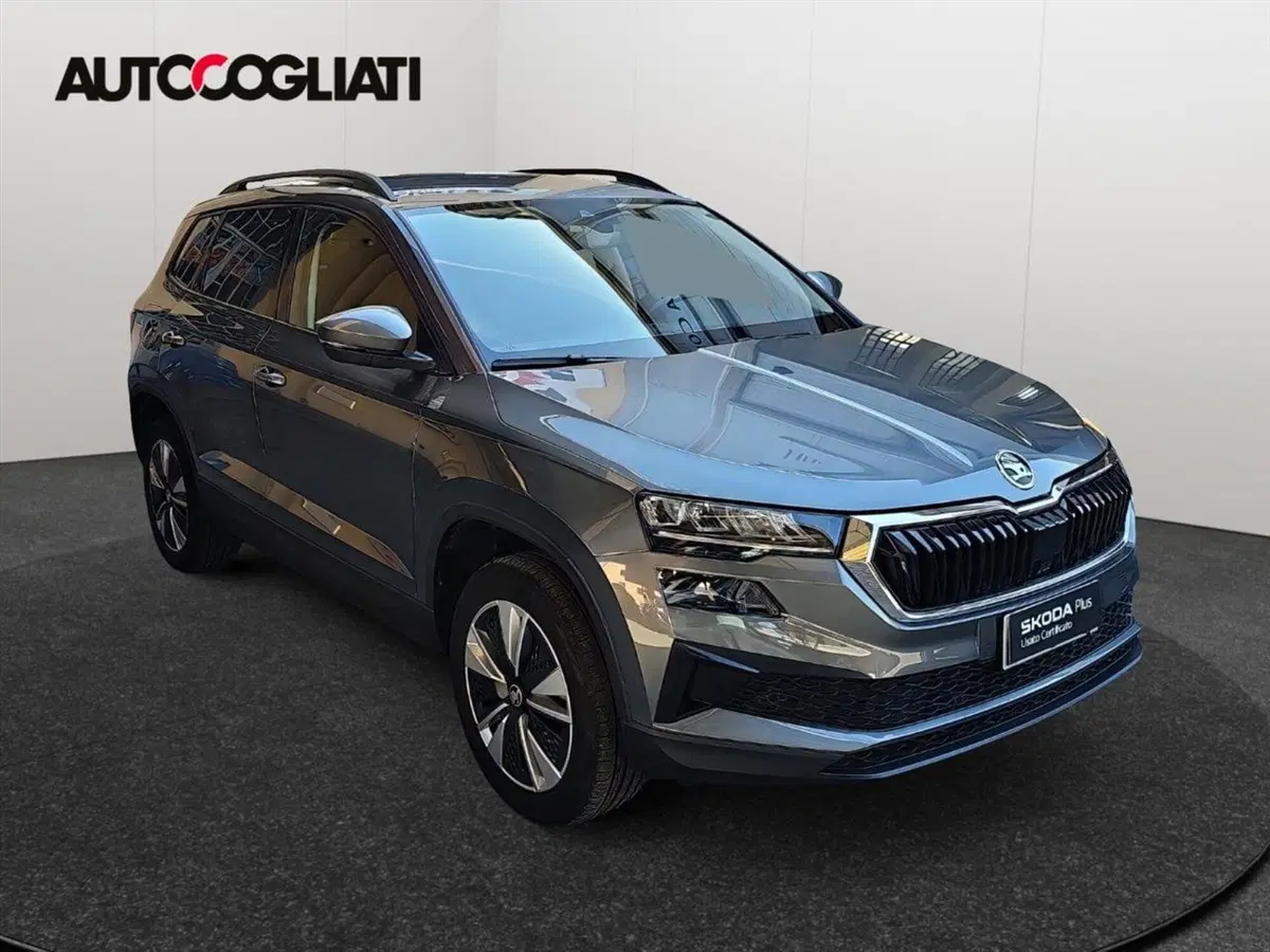 Skoda Karoq usata a Lecco (3)