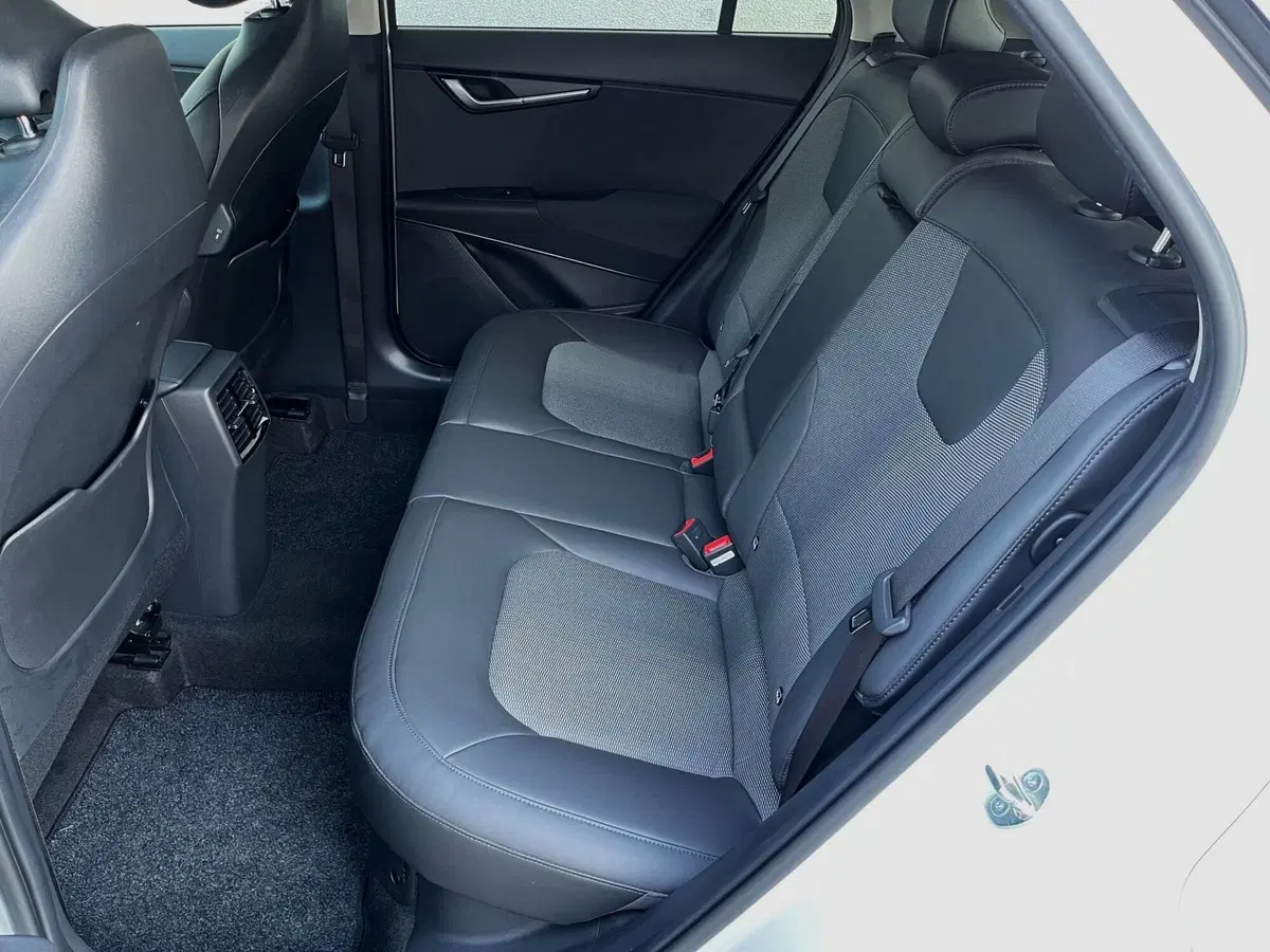 Kia Niro usata a Ferrara (11)