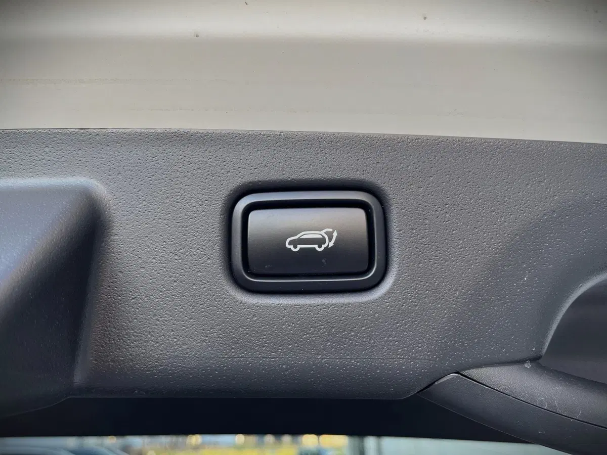 Kia Niro usata a Ferrara (12)
