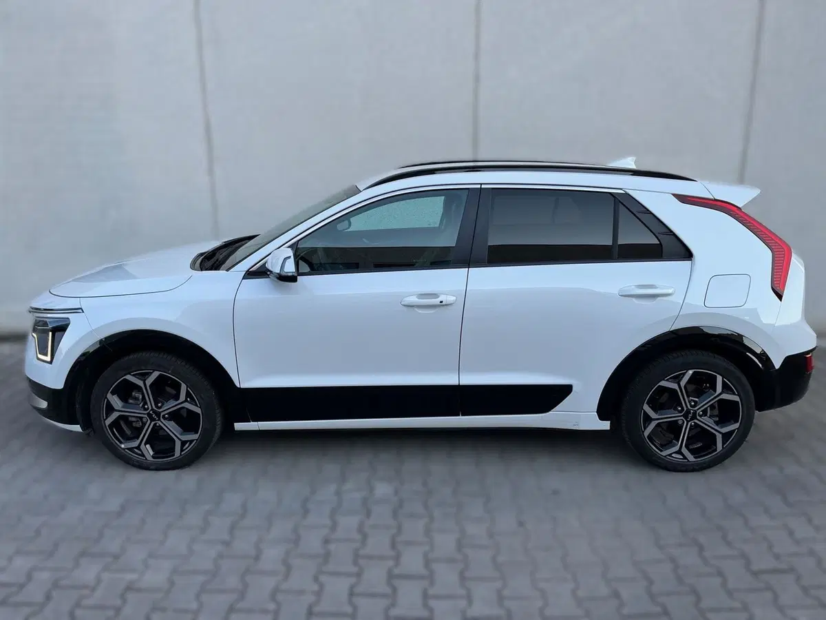 Kia Niro usata a Ferrara (3)