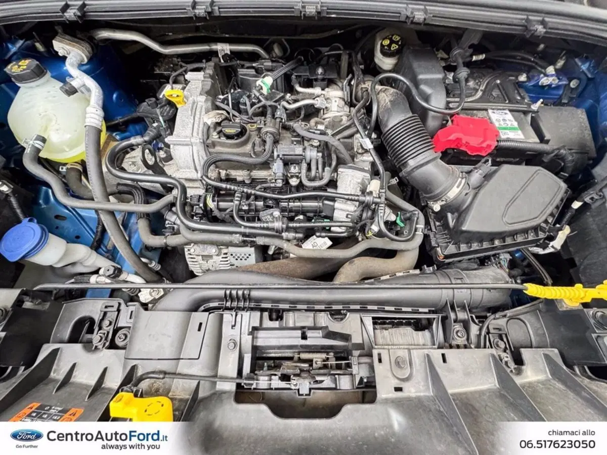 Ford Puma usata a Roma (11)