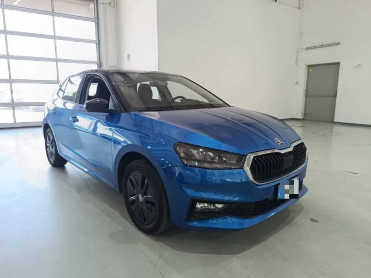 Skoda Fabia usata a Catania