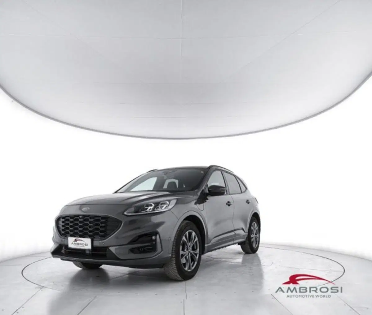 Ford Kuga usata a Perugia