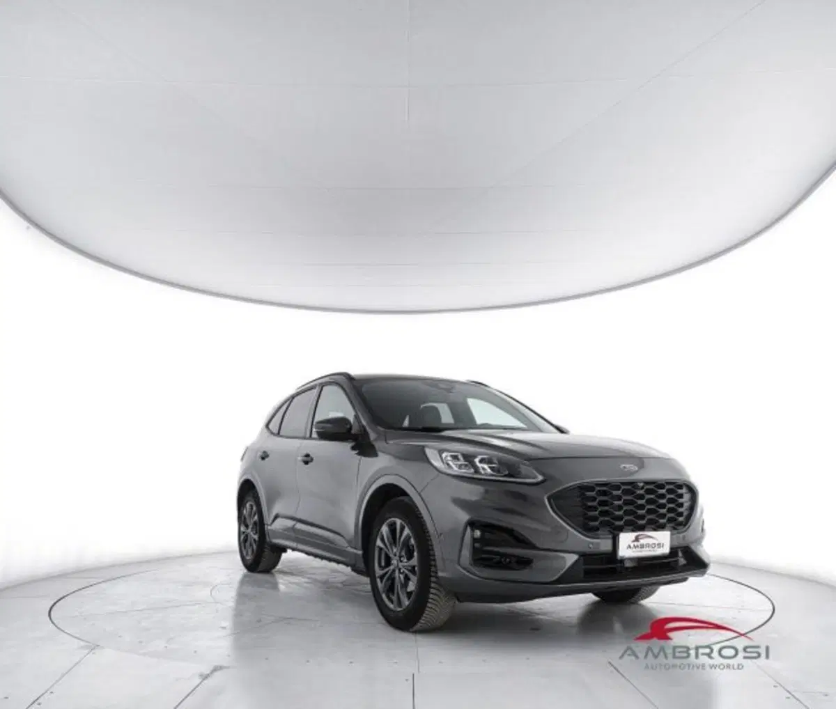 Ford Kuga usata a Perugia (2)