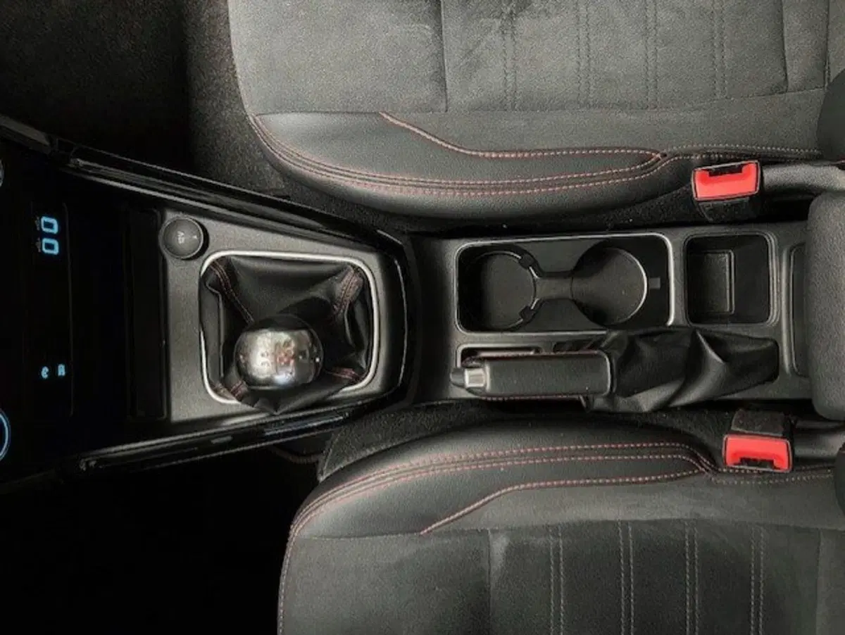 Ford EcoSport usata a Cuneo (11)