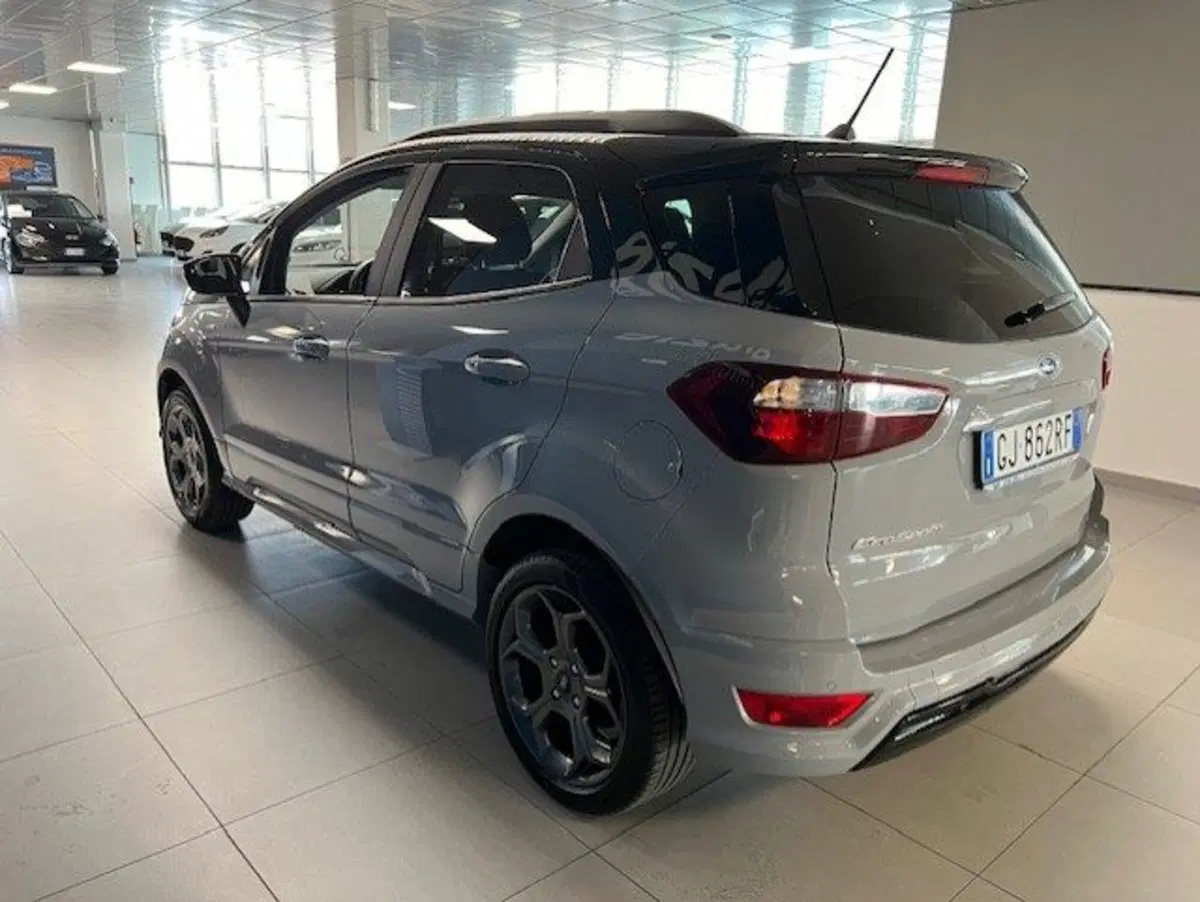 Ford EcoSport usata a Cuneo (6)
