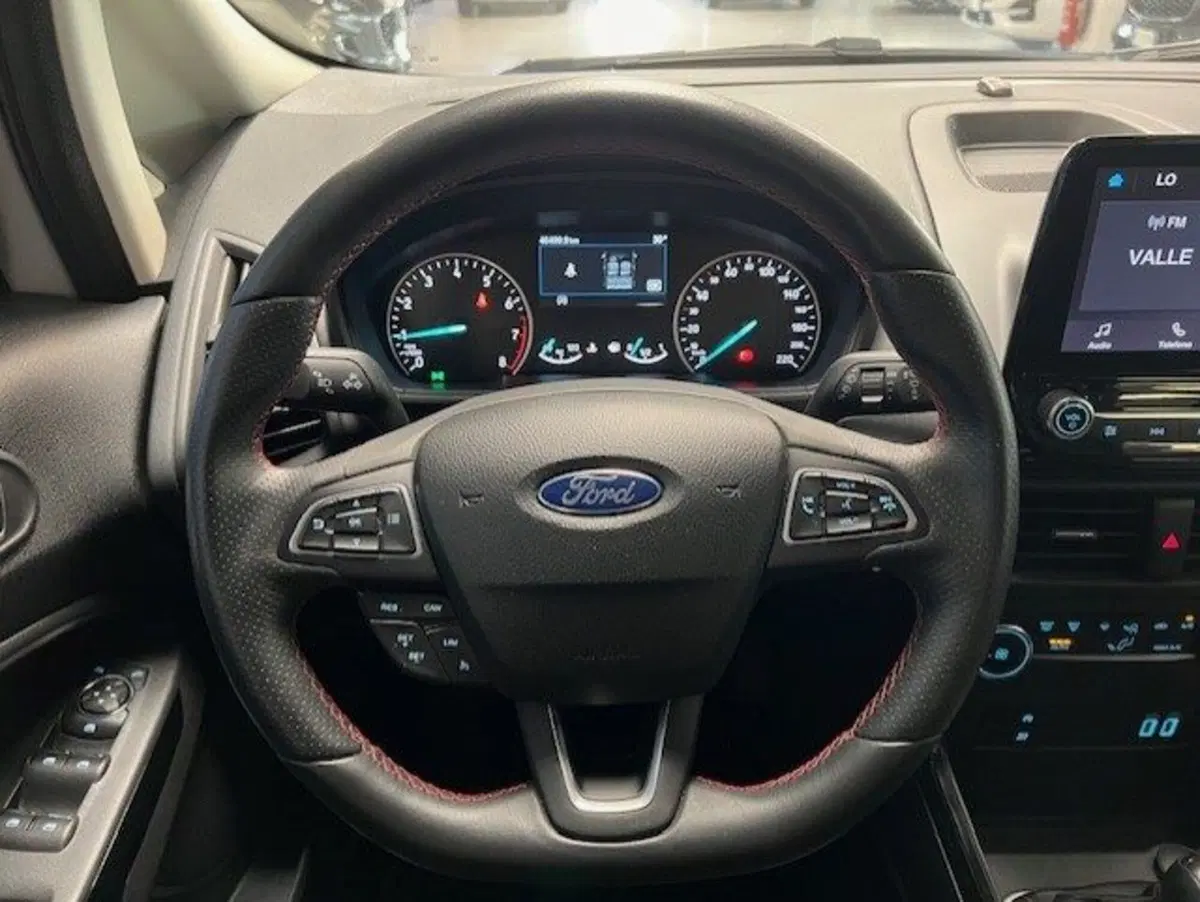Ford EcoSport usata a Cuneo (8)