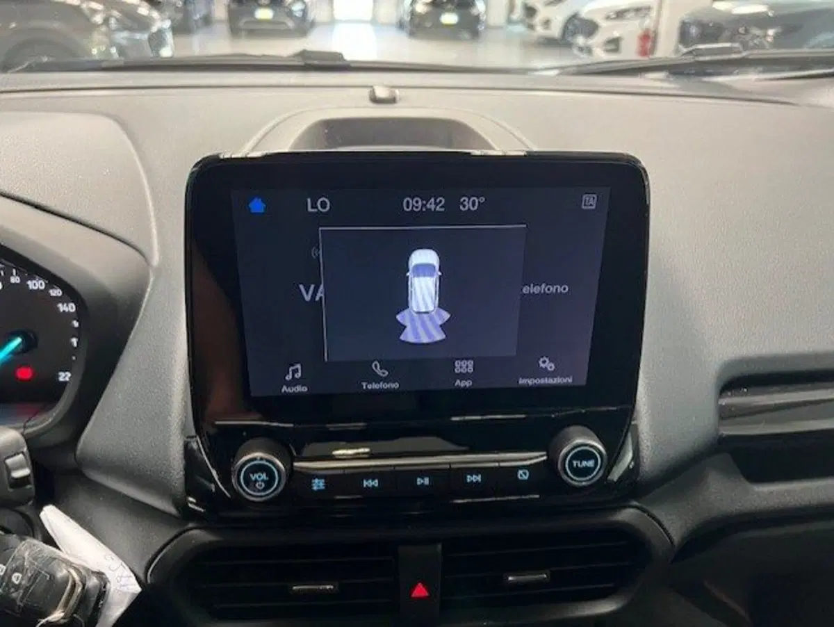 Ford EcoSport usata a Cuneo (9)