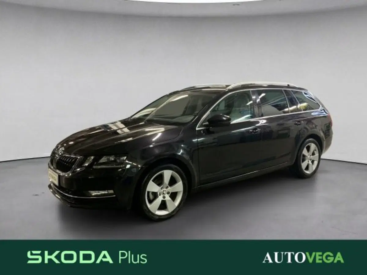 Skoda Octavia Station Wagon usata a Vicenza (2)