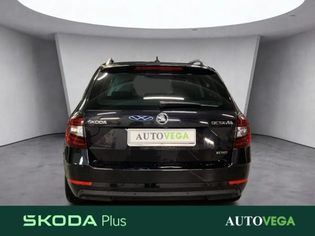 Skoda Octavia Station Wagon usata a Vicenza (9)