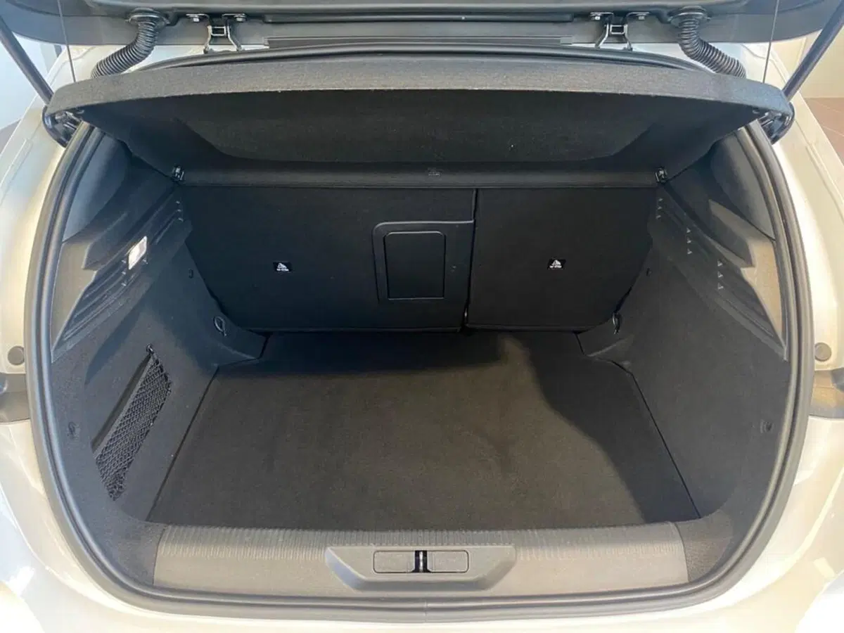 Peugeot 308 usata a Torino (9)