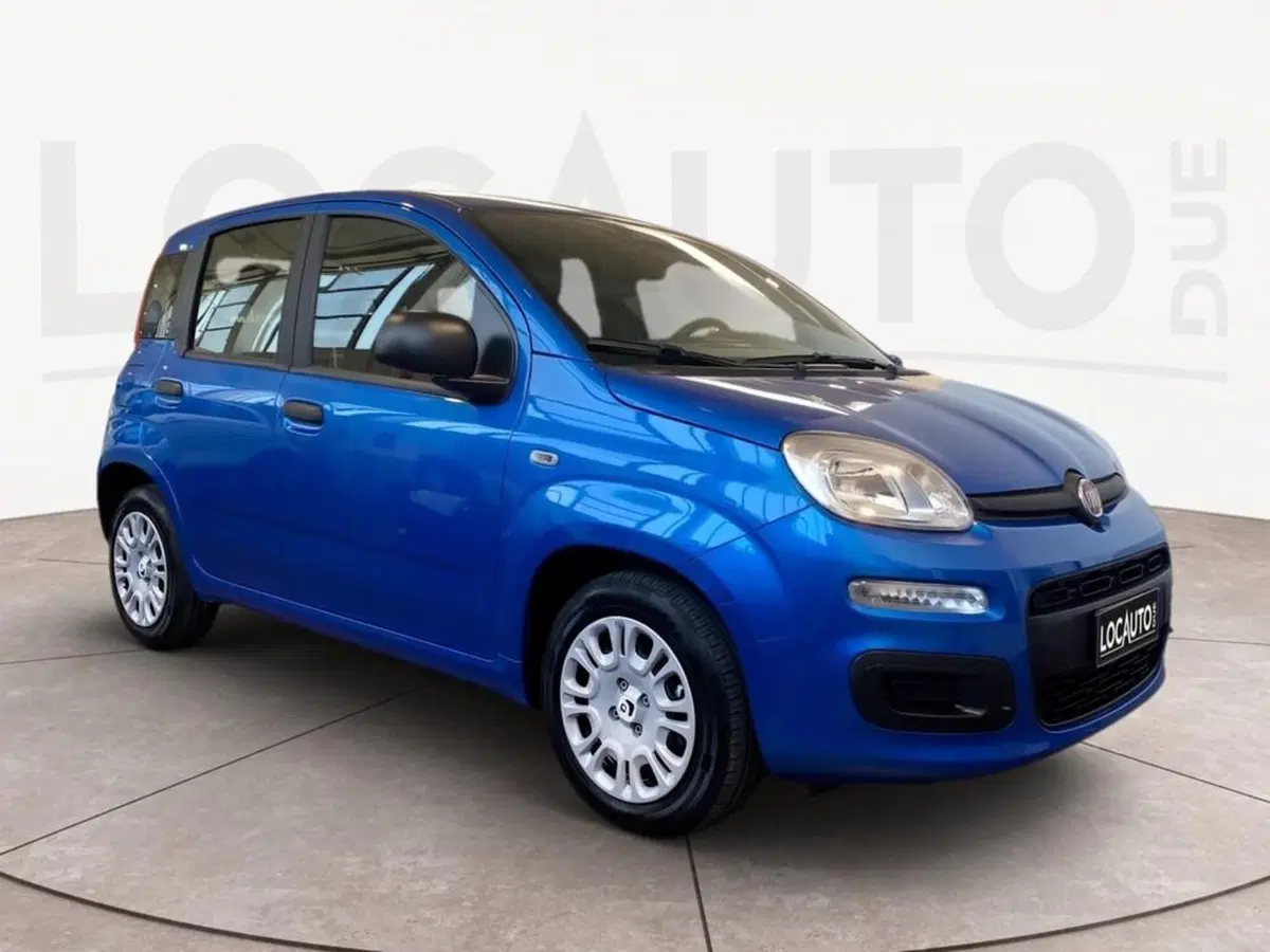 Fiat Pandina usata a Torino (3)