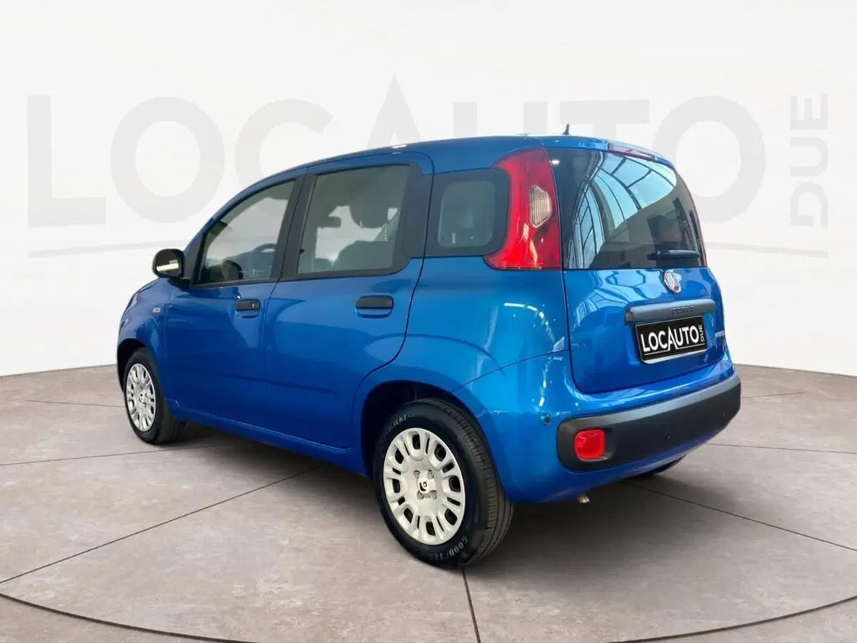 Fiat Pandina usata a Torino (5)