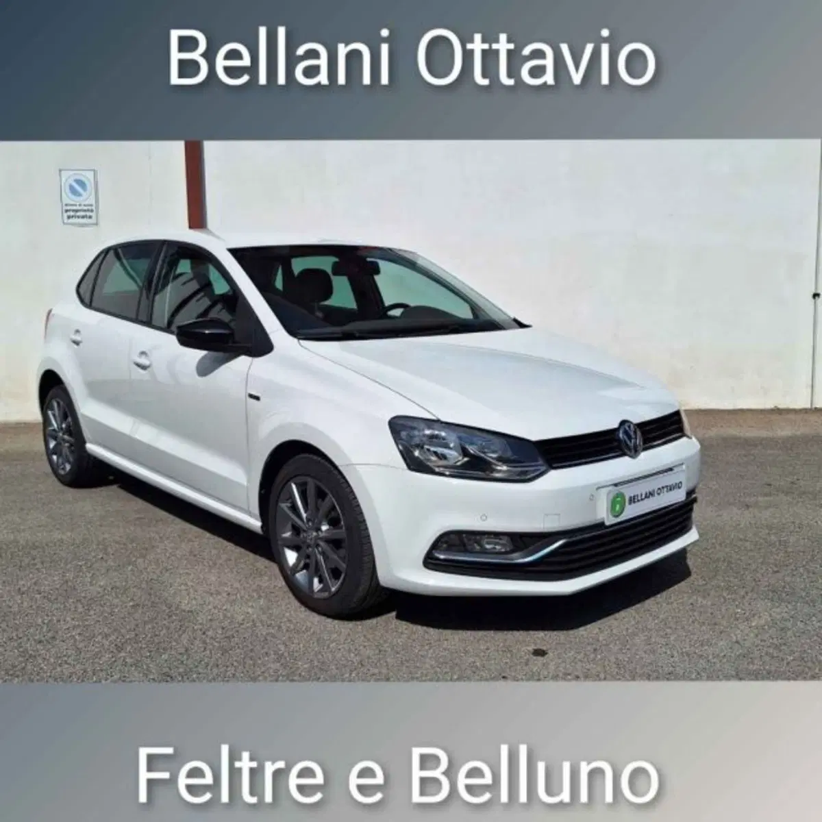 Volkswagen Polo usata a Belluno