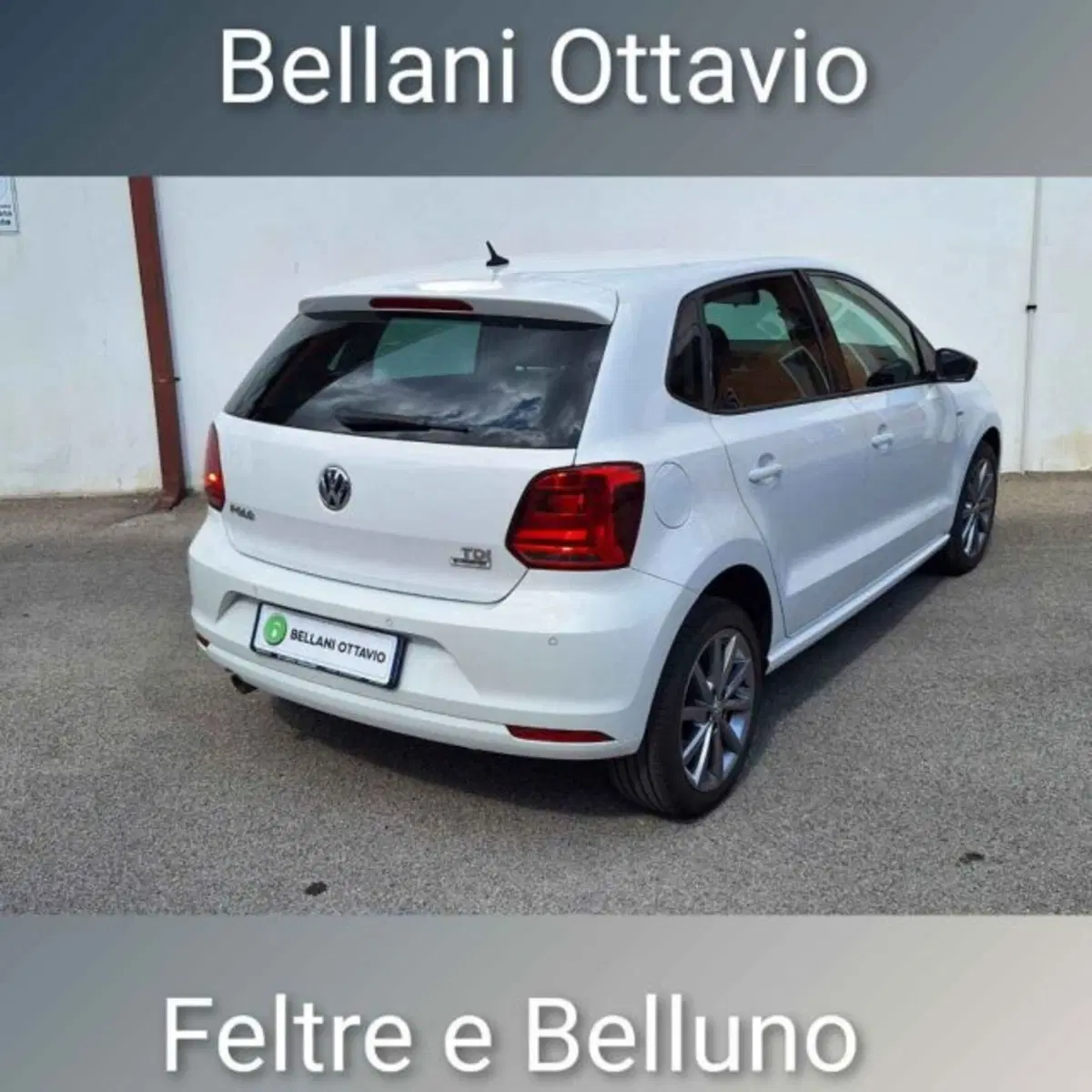 Volkswagen Polo usata a Belluno (7)