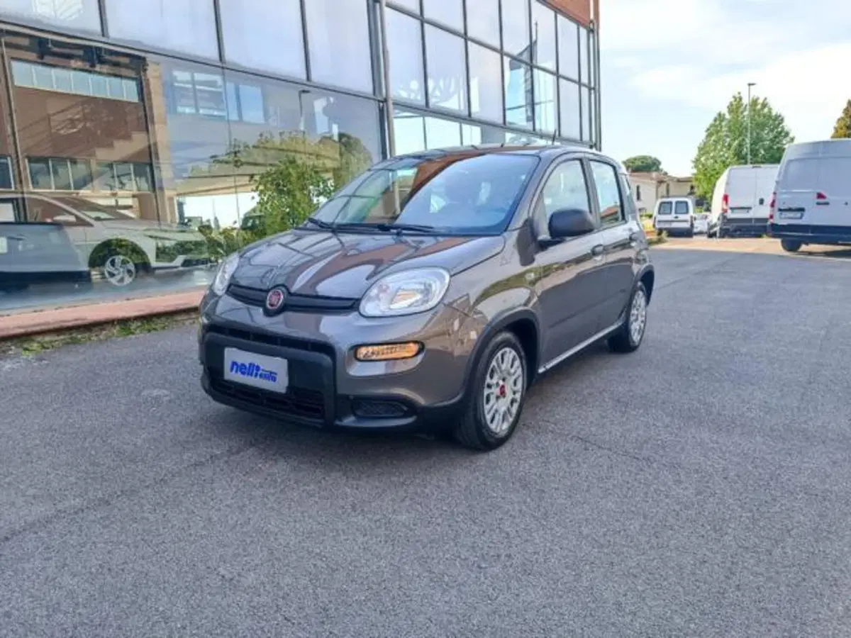 Fiat Panda usata a Pisa (7)