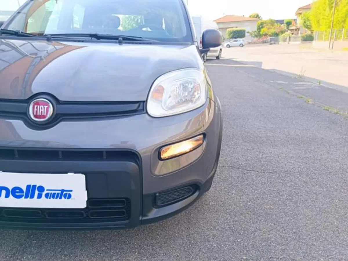 Fiat Panda usata a Pisa (8)