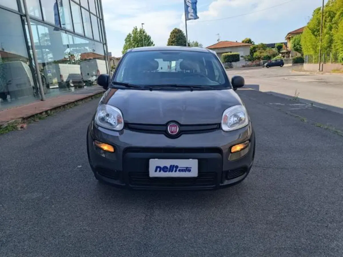 Fiat Panda usata a Pisa (9)