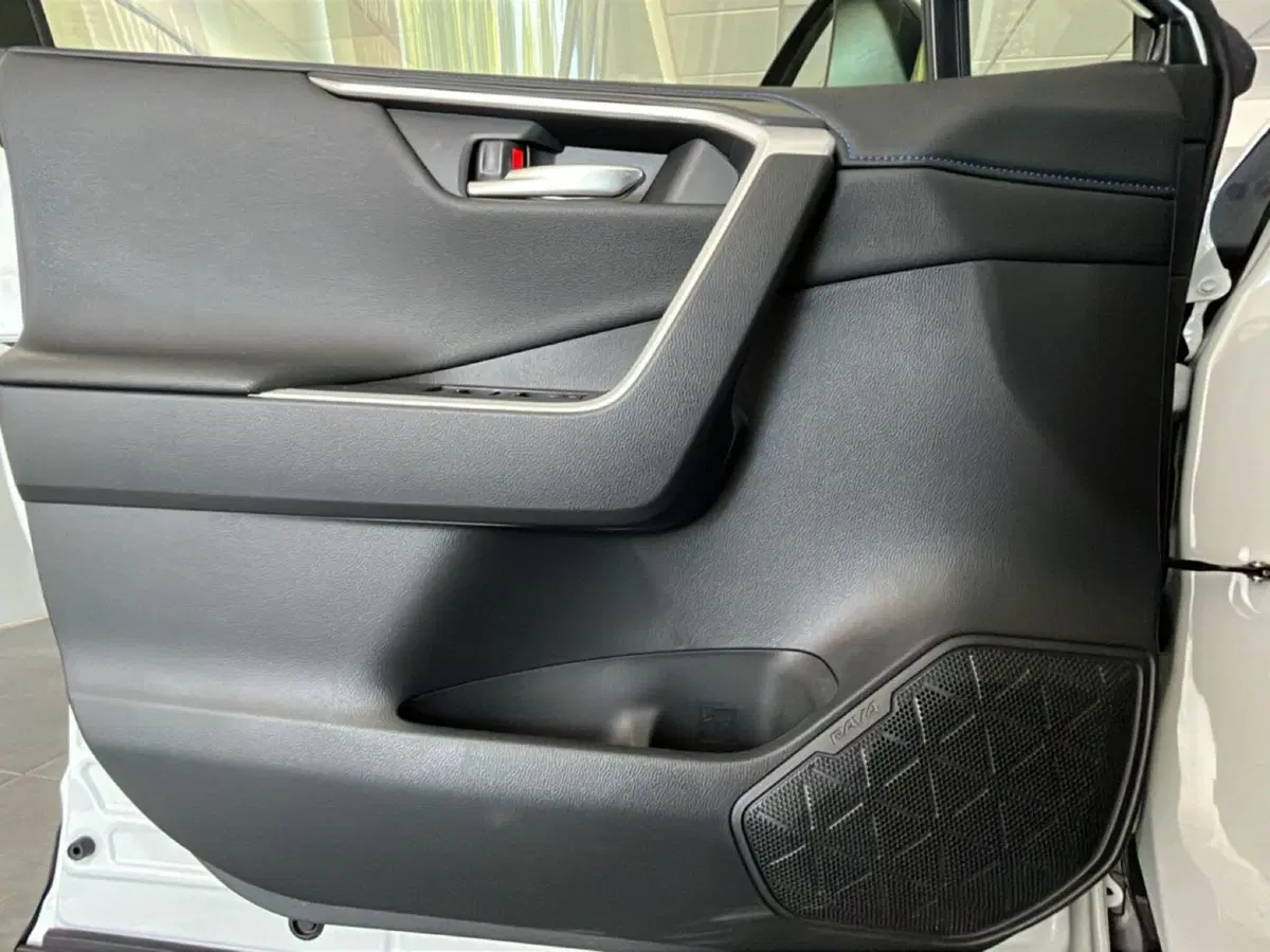 Toyota Rav4 usata a Lecce (19)