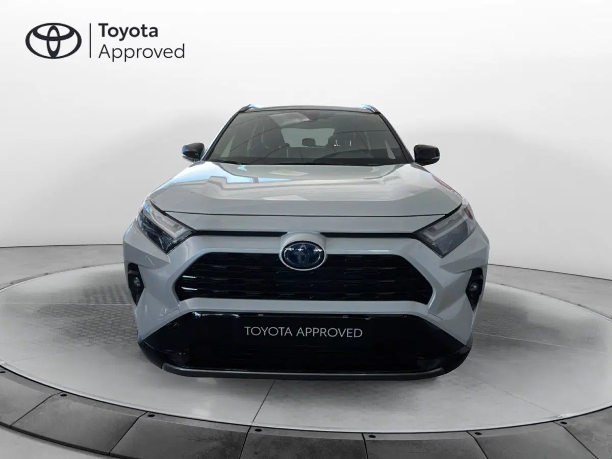 Toyota Rav4 usata a Lecce (2)